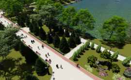 В одном из парков Кишинева за счет Гражданского бюджета будет построена Президентская аллея