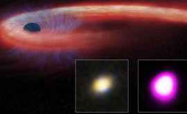 Astronomii au observat pentru prima dată cina unei găuri negre