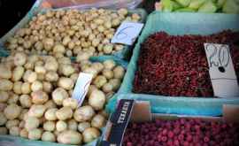 Cît costă astăzi fructele şi legumele la Piaţa Centrală
