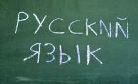 В Молдове запретили организацию За русский язык 