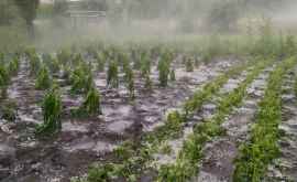 Июньские дожди нанесли миллионные ущербы