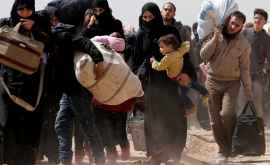 Peste 200 de mii de sirieni şiau părăsit casele din cauza luptelor din sudul ţării