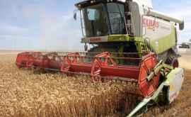 В Молдове началась уборка зерновых культур I группы