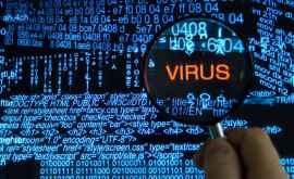 Хакер из Молдовы украл личные данные почти 4000 пользователей