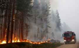 Suedia se confruntă cu incendii puternice