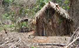 Ultimul supravieţuitor al unui trib izolat din Amazon surpins în imagini VIDEO