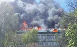 Guvernul a alocat bani pentru lichidarea consecințelor incendiului de la Institutul de Zoologie