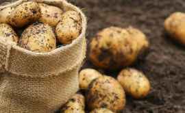 Cartofii beneficiile asupra sănătăţii
