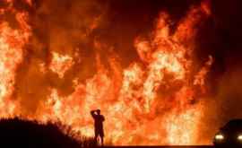 В Испании бушуют лесные пожары 