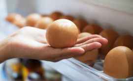 Это нужно знать Почему нельзя держать яйца на дверце холодильника