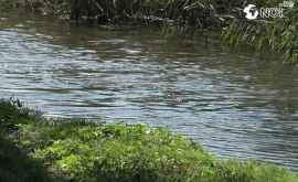 Источник загрязнения реки Бык обнаруженный в Бульбоаке был устранен ФОТОВИДЕО