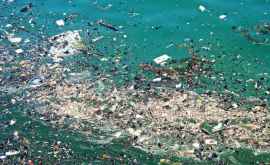 Imagini șocante Valuri de plastic pe o plajă din Mexic VIDEO