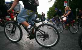 В этой стране велосипедистов за ДТП предлагают сажать в тюрьму на 14 лет