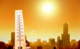 3 основных совета как пережить жару без вреда для здоровья