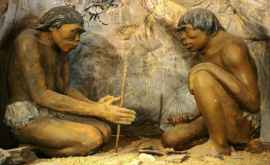 Доисторические люди Homo erectus вымерли изза лени