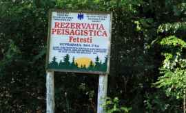 Rezervaţia peisagistică Feteşti raionul Edineţ FOTO