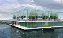 Первая в мире плавучая ферма будет запущена в Роттердаме до конца года