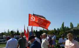 Коммунисты возложили цветы на мемориале Вечность и на Шерпенском Плацдарме