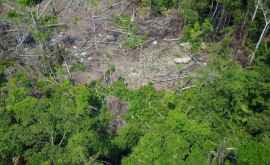 Un nou trib izolat găsit în jungla amazoniană