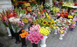 Serviciul Fiscal de Stat anunţă controale la comercianţii de flori