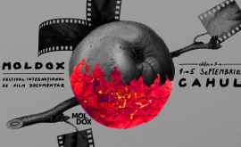 9 motive să vii la Festivalul Internațional de Film Documentar MOLDOX