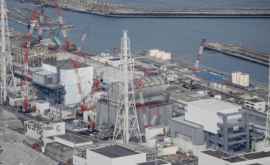 Японские власти признали смерть от радиации сотрудника АЭС Фукусима