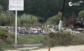 O gunoiște neautorizată distruge ecosistemul unui iaz din apropierea Chișinăului VIDEOFOTO