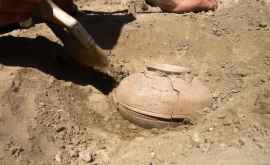 Учёные выкопали 800летний глиняный горшок То что было внутри просто невероятно ФОТО