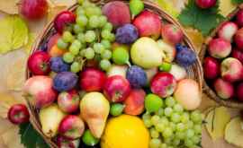 Fructele moldovenești vor fi promovate la o prestigioasă expoziţie din Rusia