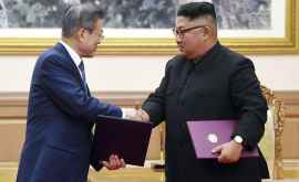 Coreea de Nord și Coreea de Sud vor depune o candidatură comună pentru organizarea JO