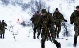 Militarii olandezi au înghețat la exerciții în Norvegia