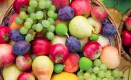 В столице будет организована Ярмарка фруктов