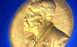 Впервые за 70 лет решено не присуждать Нобелевскую премию по литературе 