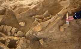 В Албании раскопали 1000 древних могил с сокровищами