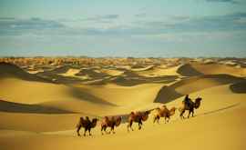 Omenirea a schimbat soarta deşertului Sahara