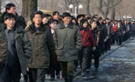 Peste zece milioane de nordcoreeni suferă de malnutriţie