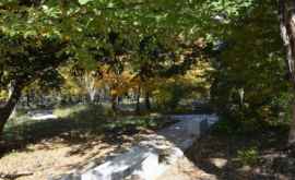 Cum arată parcul din satul Mileşti Nisporeni după amenajare FOTO