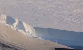  Cîntecul ghețarilor din Antarctica înregistrat pe video 