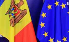 Cum comentează Delegația UE intenția de a include vectorul european în Constituție