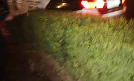 O mașină de poliție surprinsă pe răzorul de tufe în preajma Universității Pedagogice VIDEO