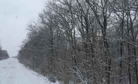 Iarna a sosit şi în Moldova Ninge can poveste întro localitate din centrul ţării VIDEO