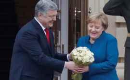 Порошенко повторил ход Путина при встрече с Меркель