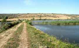 Река Лэпушна от Юрчен до Минджир Фото