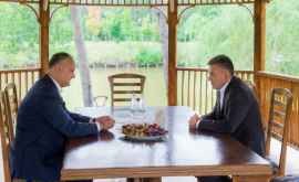 Когда состоится очередная встреча президента Молдовы и лидера Приднестровья 