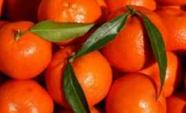 De ce se vînd clementinele cu tot cu frunze Sa aflat secretul comercianţilor