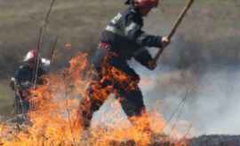 Trei hectare de vegetație au fost distruse de un incendiu puternic
