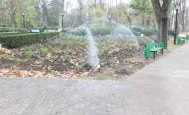 Впервые в столичном парке установят систему полива