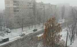 Prima ninsoare în Kiev Accidente și mașini blocate în trafic FOTO