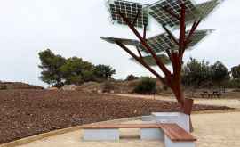 În capitală vor fi instalați copaci solari