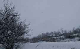Сказочный снегопад в Молдове На одной из заправок появился первый снеговик ФОТО 